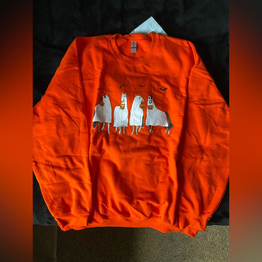 Halloween Horse sweatshirt
